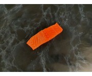Fresh Salmon Fillet Skinless 170g